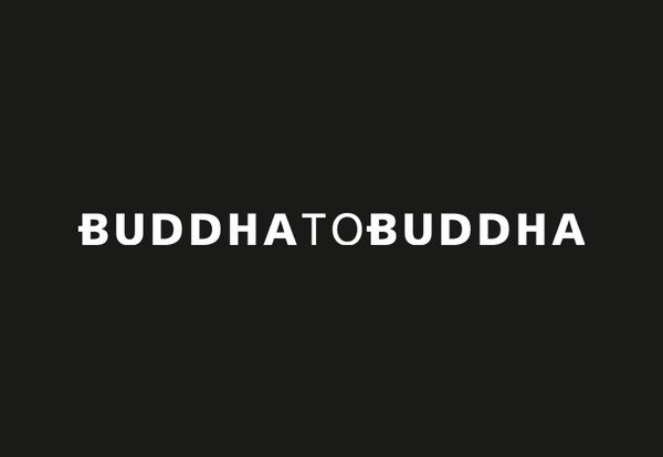 Buddha to Buddha Schmuck