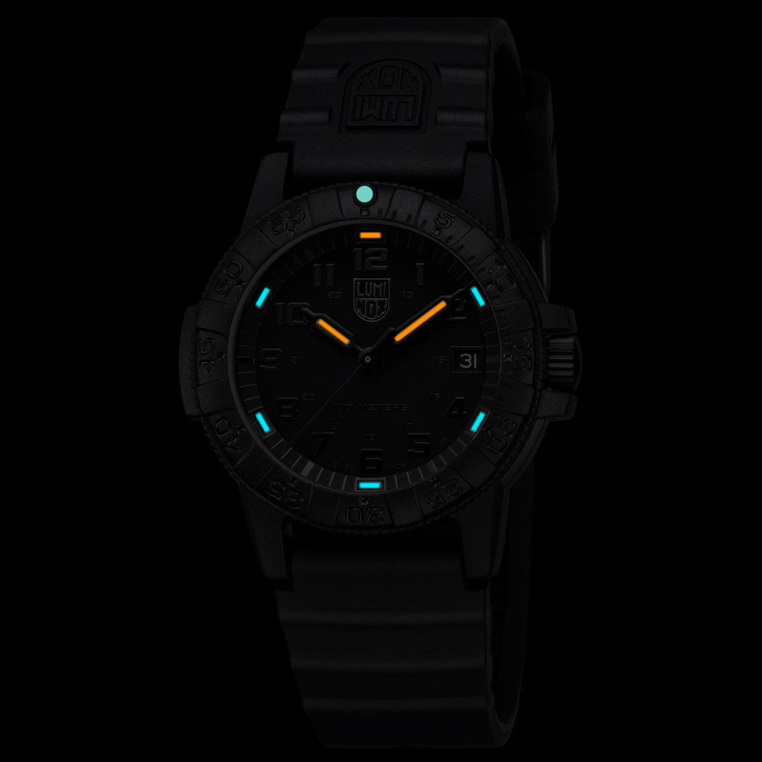 Luminox Leatherback Sea Turtle 0300 Series - XS.0301.BO