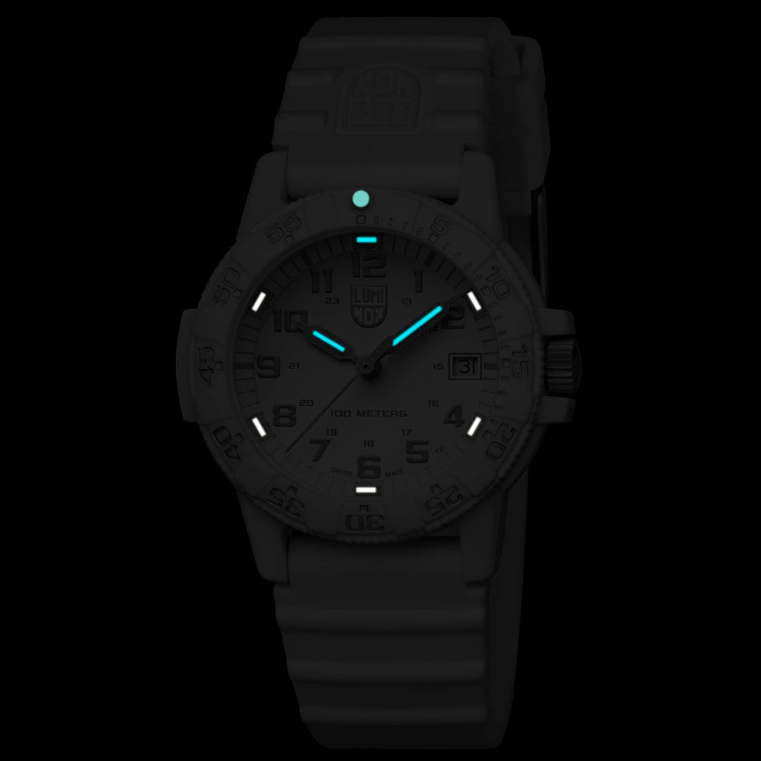 Luminox Sea Turtle 0300 Series - XS.0307.WO
