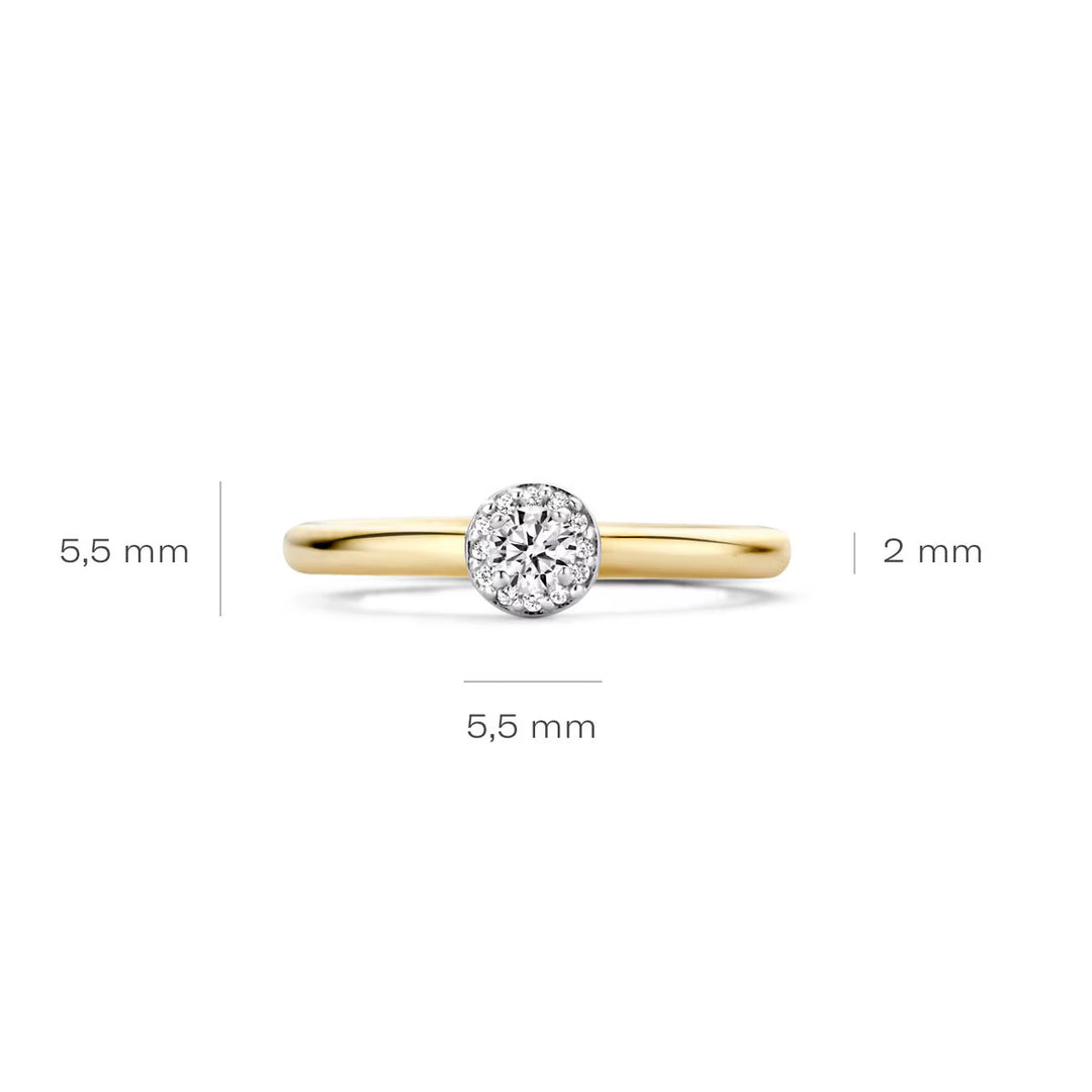 Blush Ring 14k Gelbgold und Weissgold - 1131BZI