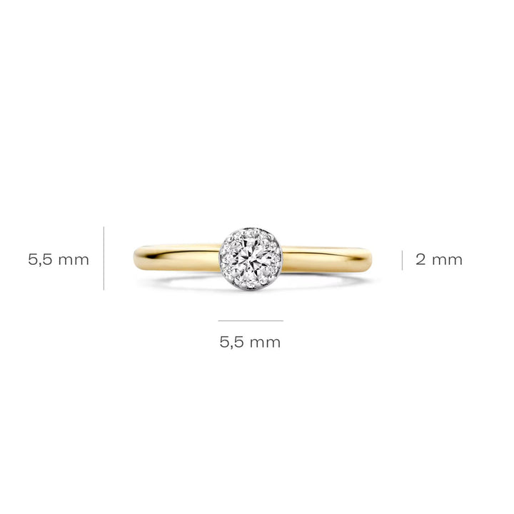 Blush Ring 14k Gelbgold und Weissgold - 1131BZI