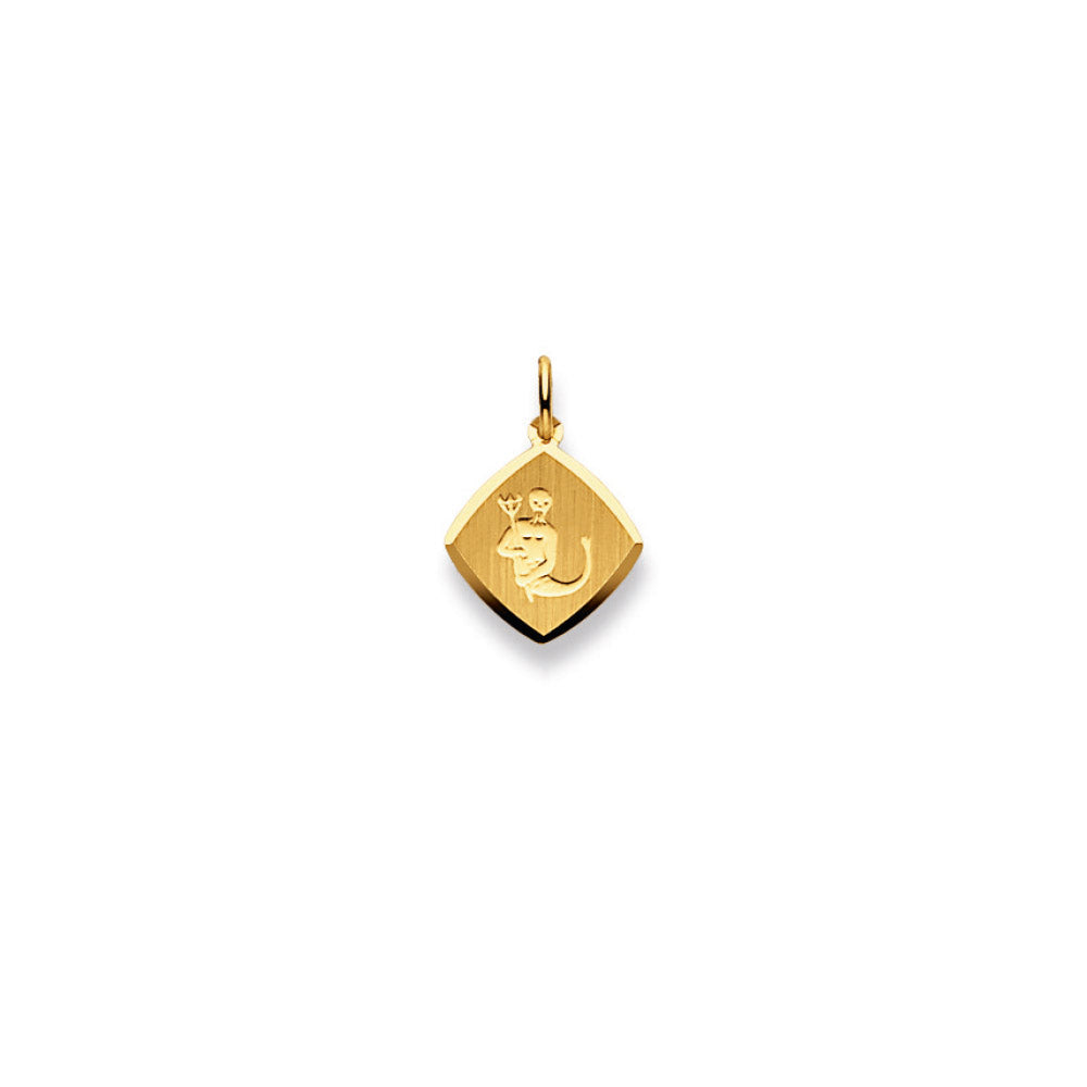 HK Gold Classics Anhänger Gelbgold 750/18k Sternzeichen Wassermann