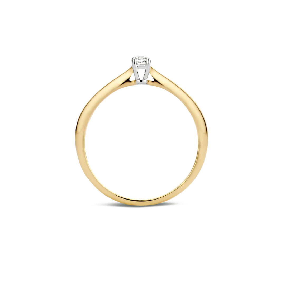 Blush Ring 14k Gelbgold - 1186BZI