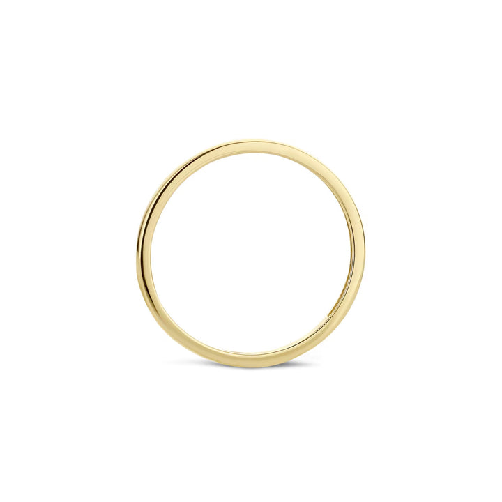 Blush Ring 14k Gelbgold - 1197YGO