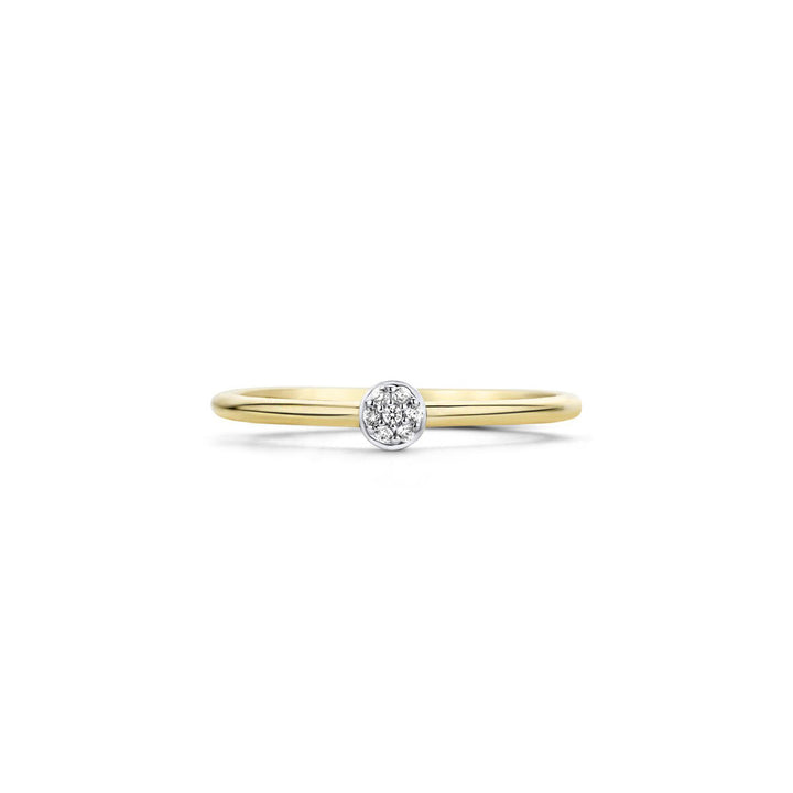 Blush Ring 14k Gelbgold - 1199YZI