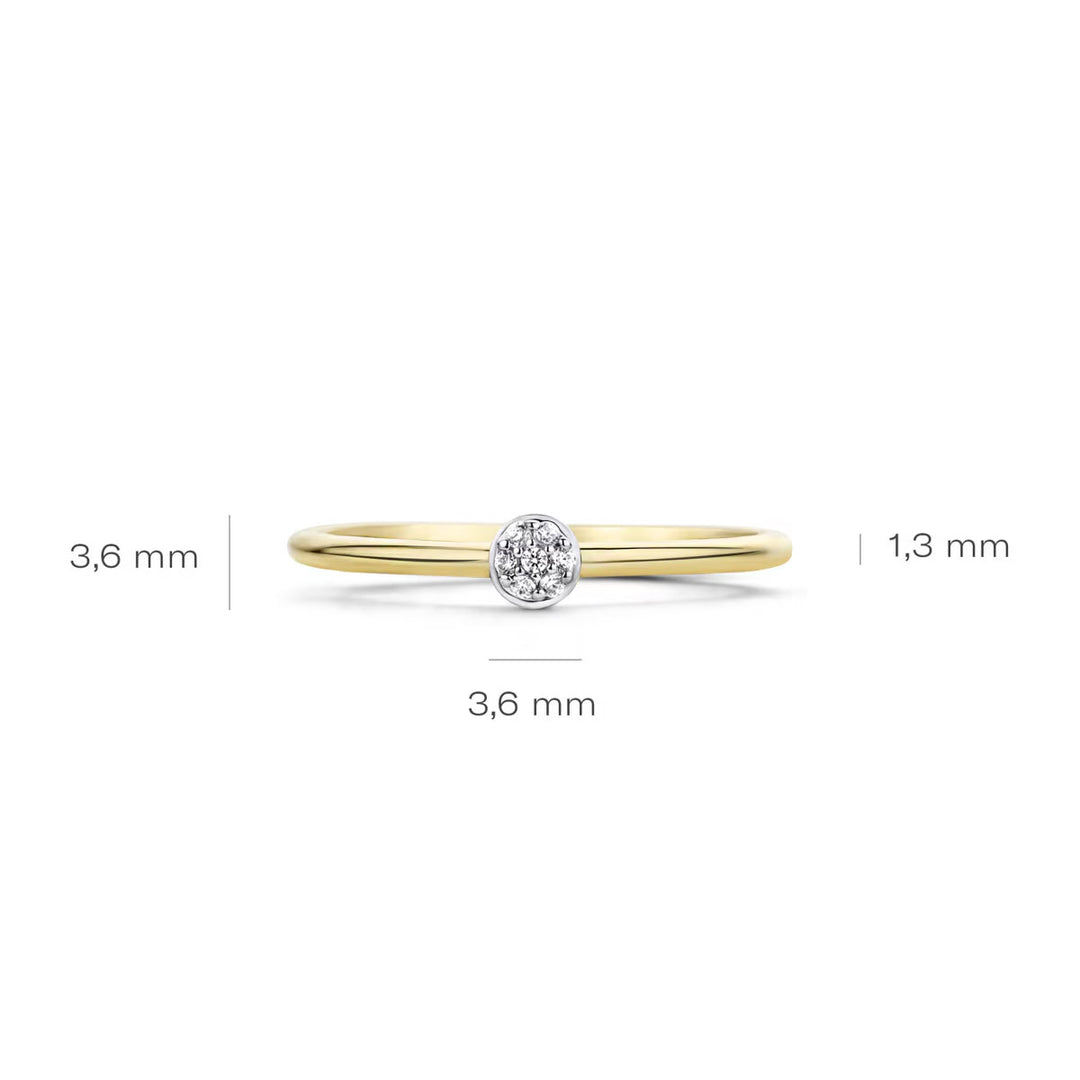 Blush Ring 14k Gelbgold - 1199YZI