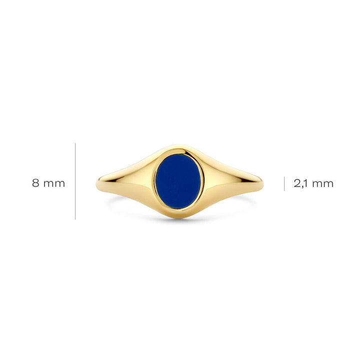 Blush Ring 14k Gelbgold - 1219YLA