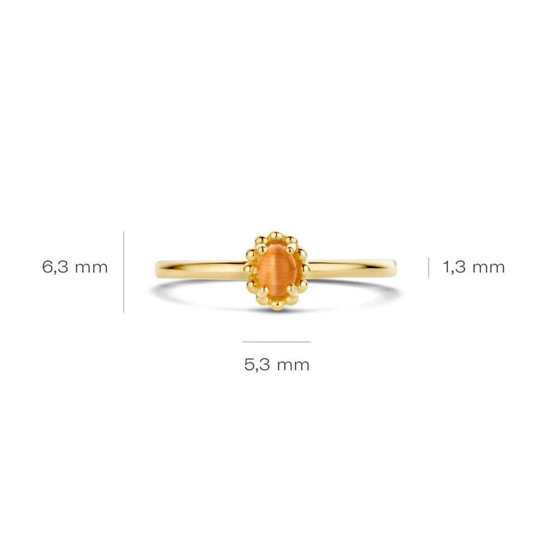 Blush Ring 14k Gelbgold - 1225YCO