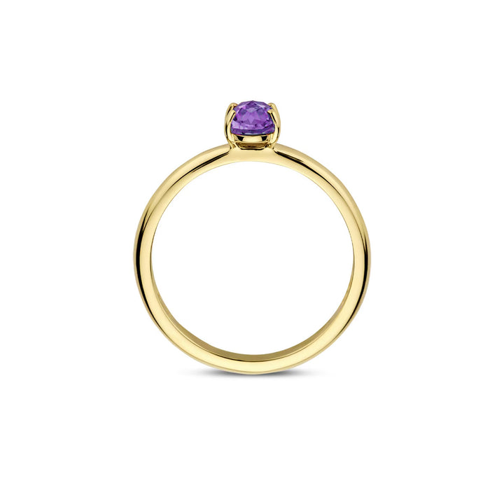 Blush Ring 14k Gelbgold - 1242YAM
