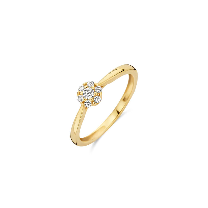 Blush Ring 14k Gelbgold - 1248YZI
