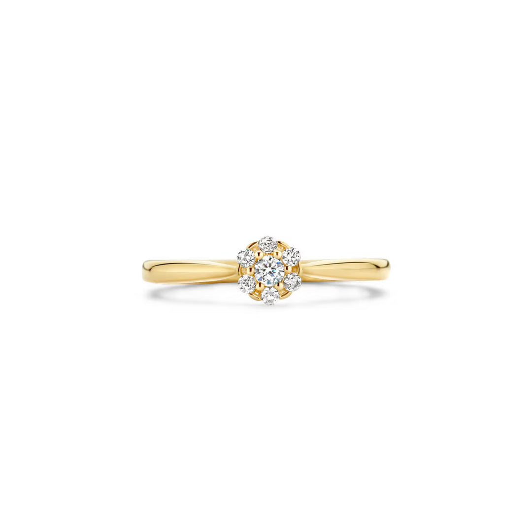 Blush Ring 14k Gelbgold - 1248YZI