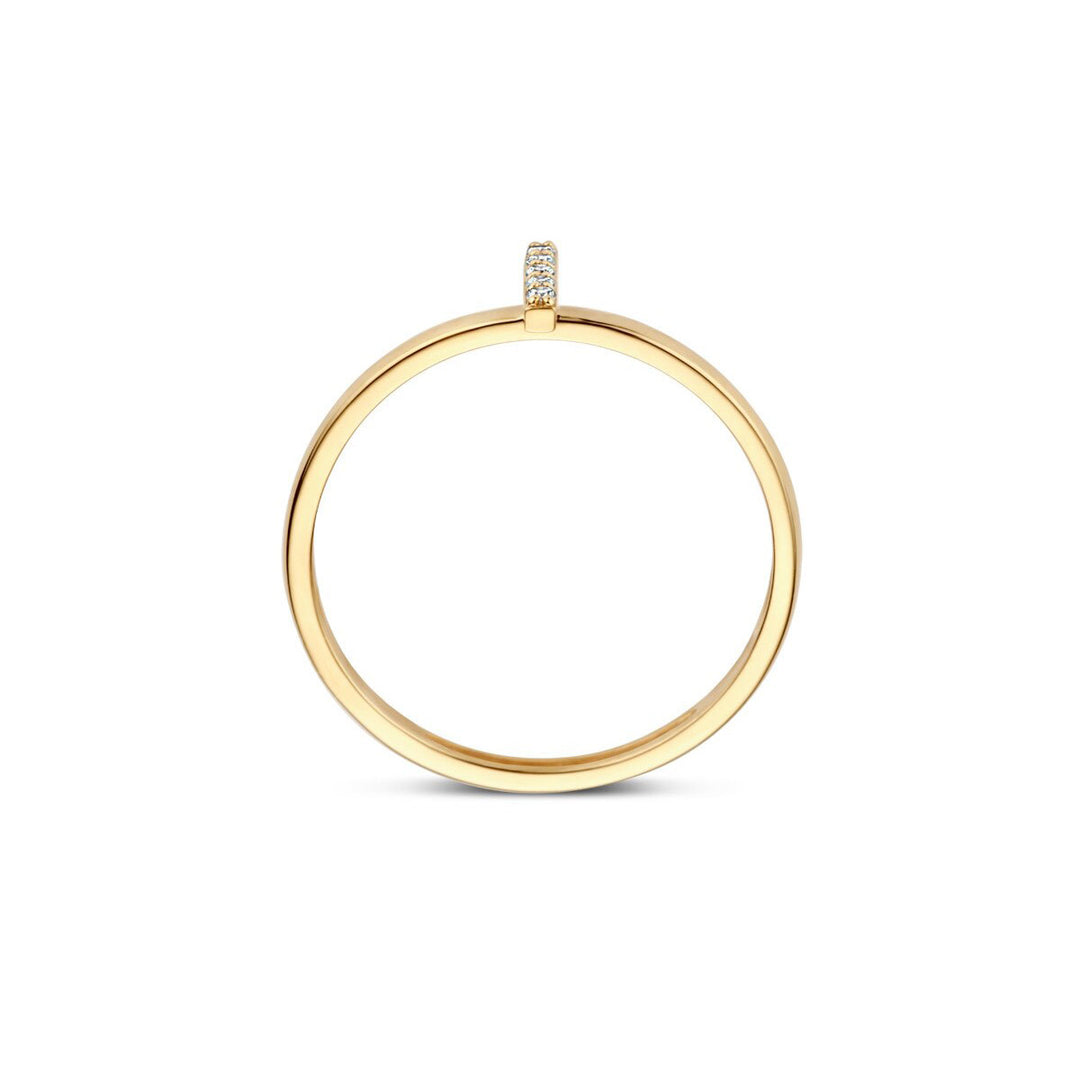 Blush Ring 14k Gelbgold - 1252YZI