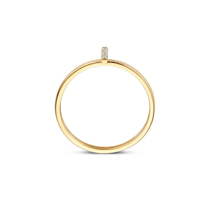 Blush Ring 14k Gelbgold - 1252YZI