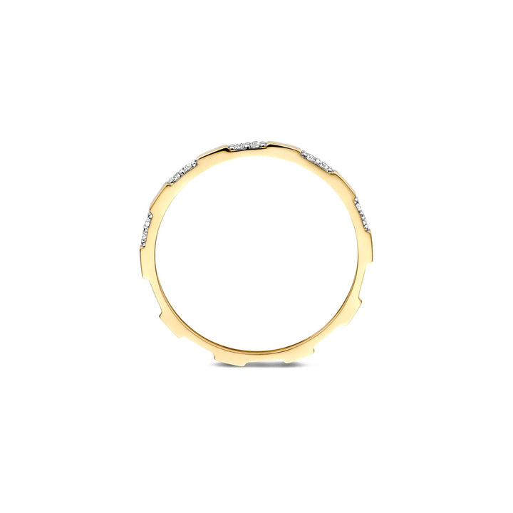 Blush Ring 14k Gelbgold - 1260YZI