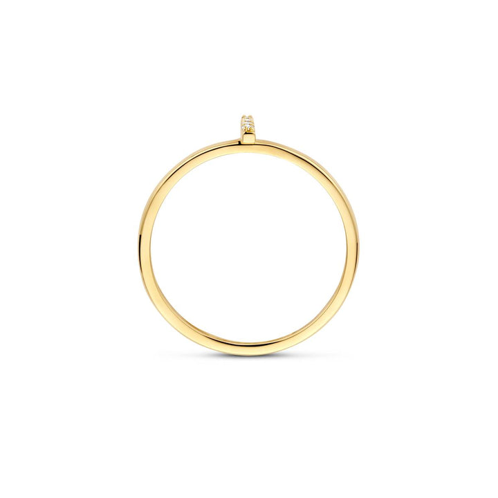 Blush Ring 14k Gelbgold - 1270YZI