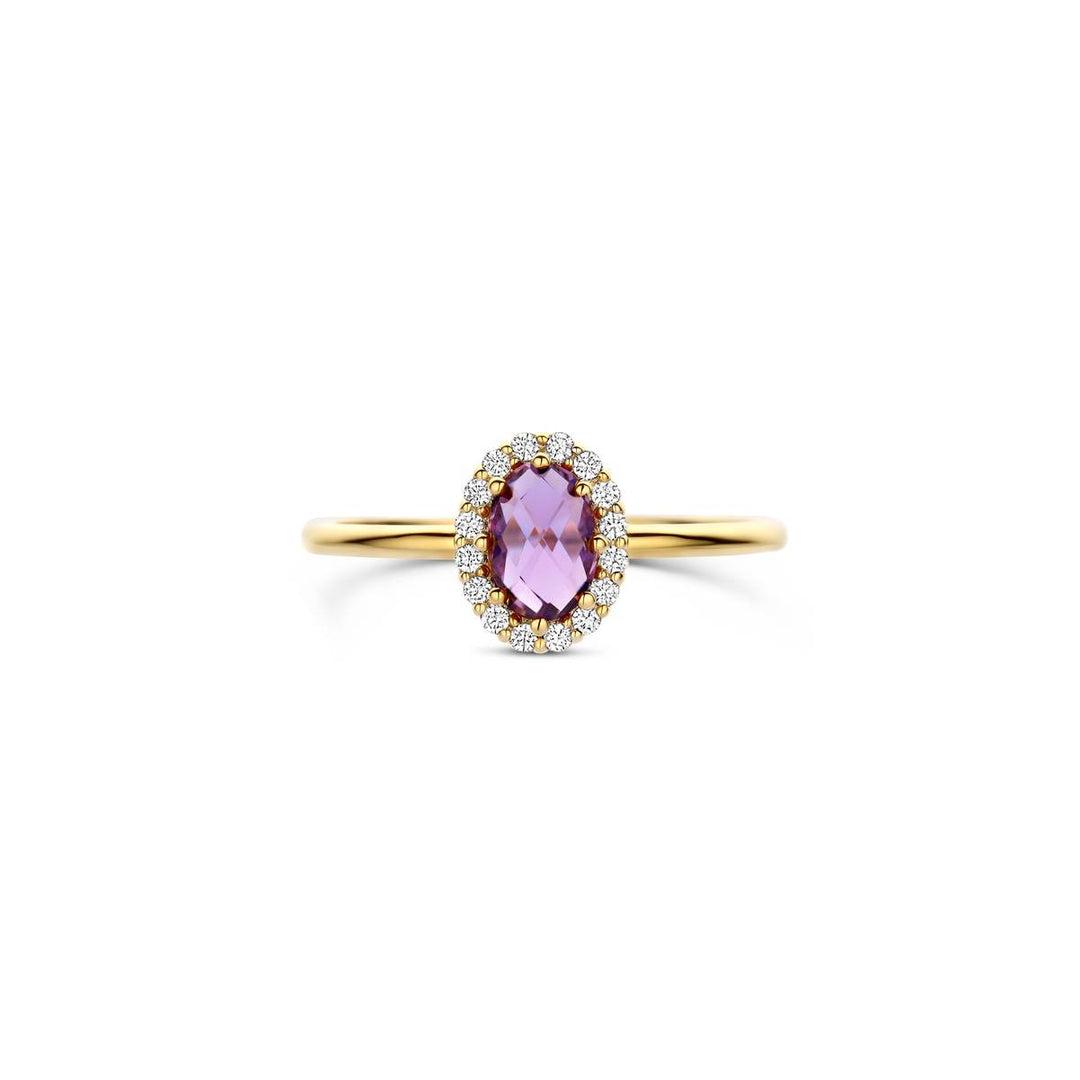 Blush Ring 14k Gelbgold - 1271YAM