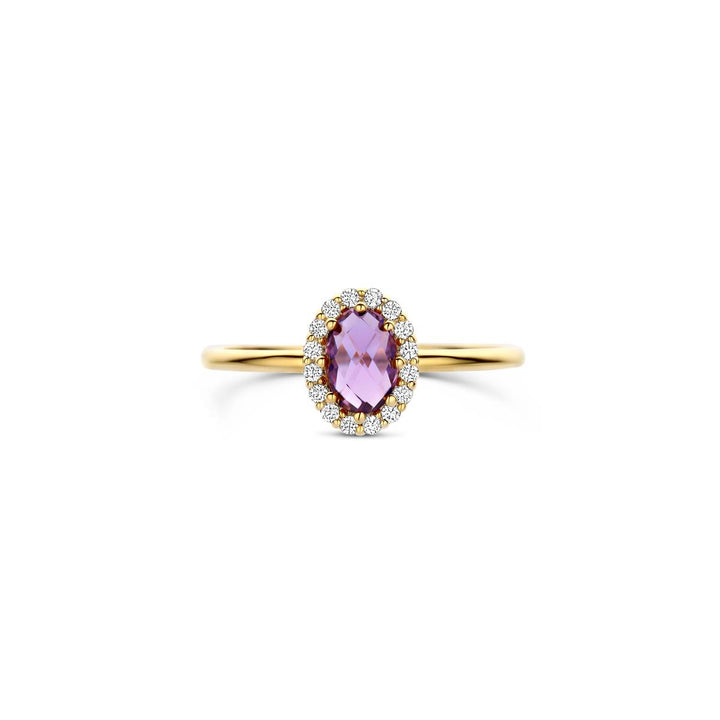 Blush Ring 14k Gelbgold - 1271YAM