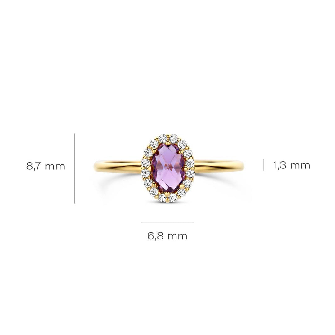 Blush Ring 14k Gelbgold - 1271YAM