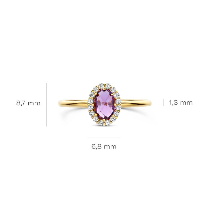 Blush Ring 14k Gelbgold - 1271YAM