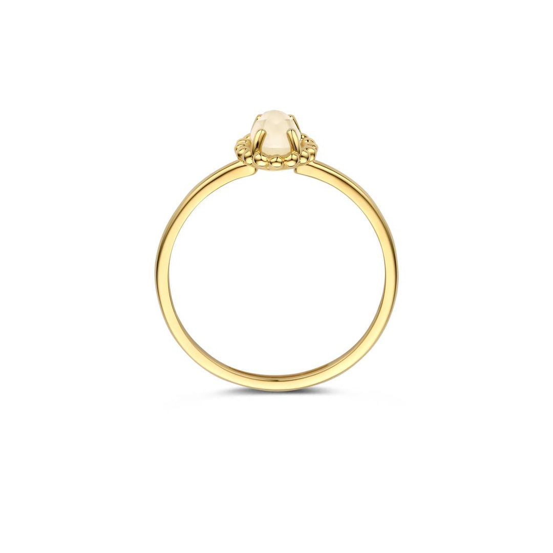 Blush Ring 14k Gelbgold - 1272YMQ