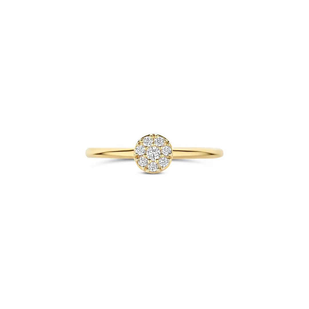 Blush Ring 14k Gelbgold - 1277YZI