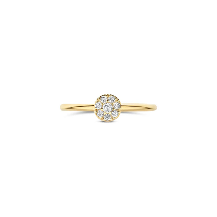 Blush Ring 14k Gelbgold - 1277YZI