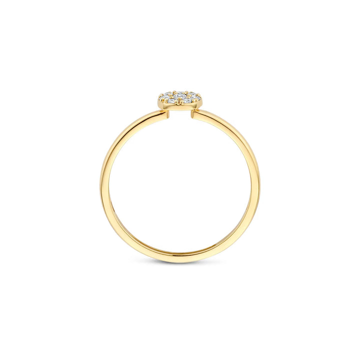Blush Ring 14k Gelbgold - 1277YZI