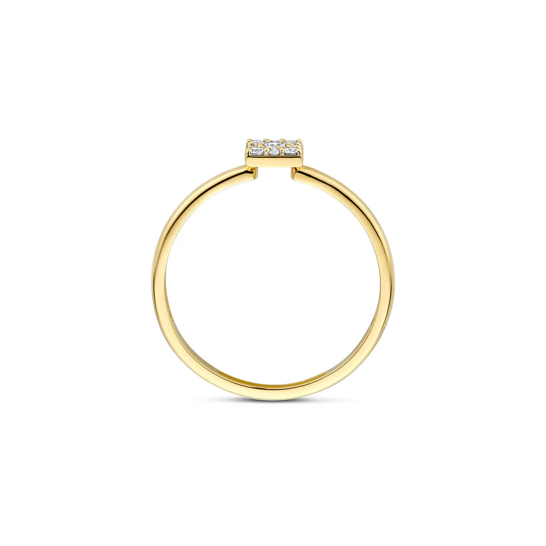 Blush Ring 14k Gelbgold - 1278YZI