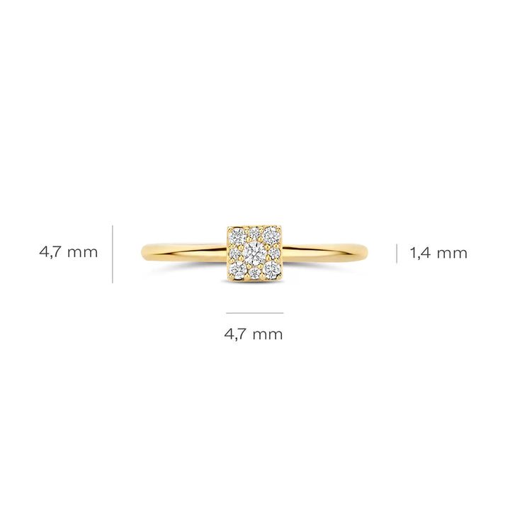 Blush Ring 14k Gelbgold - 1278YZI