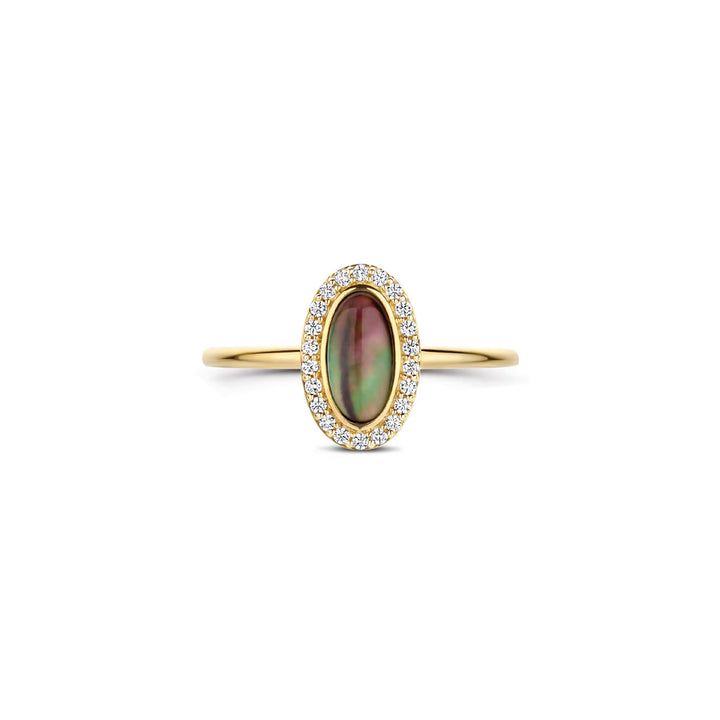 Blush Ring 14k Gelbgold - 1279YBQ