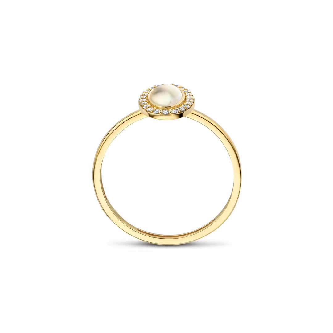 Blush Ring 14k Gelbgold - 1279YMQ