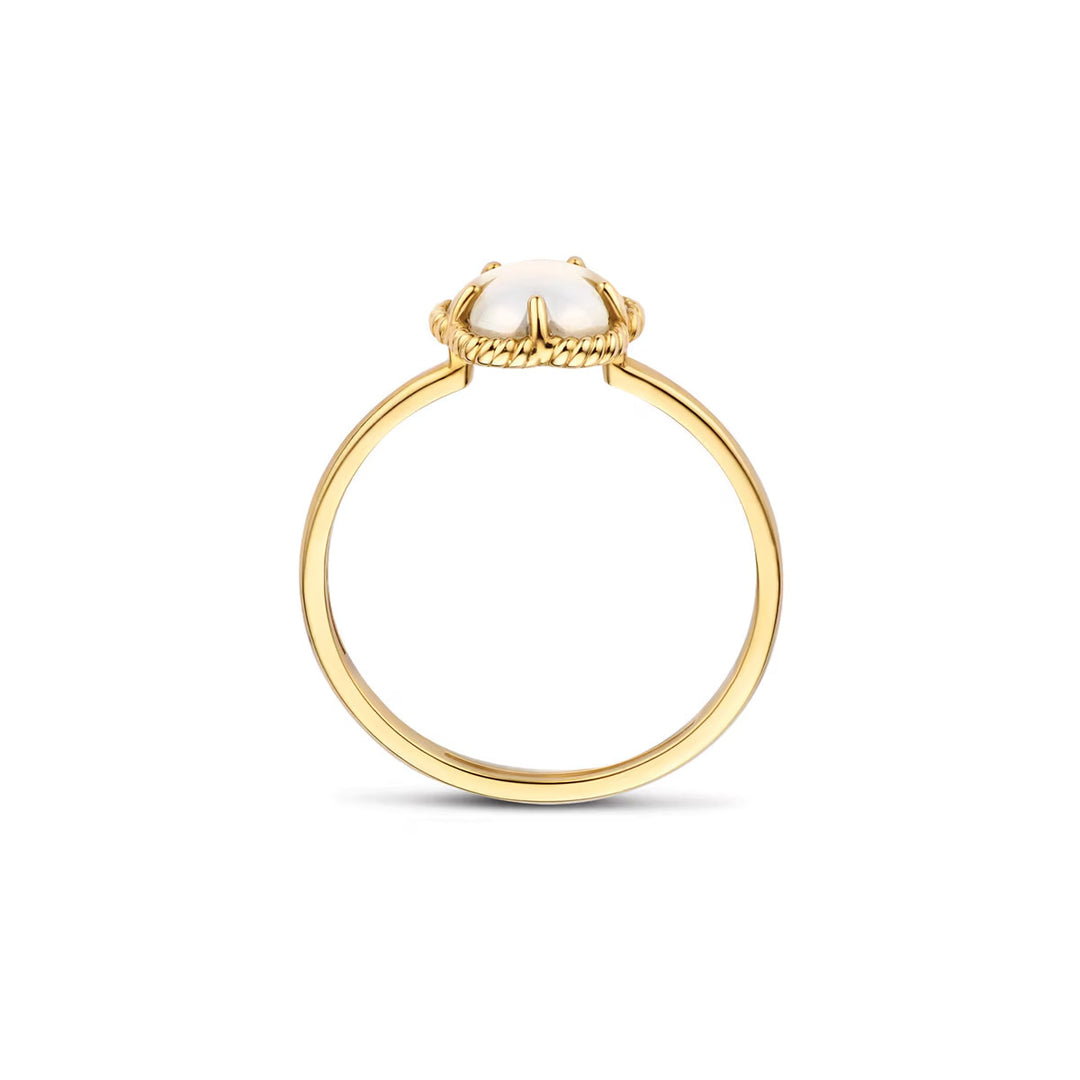 Blush Ring 14k Gelbgold - 1280YMQ