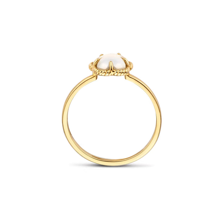 Blush Ring 14k Gelbgold - 1280YMQ