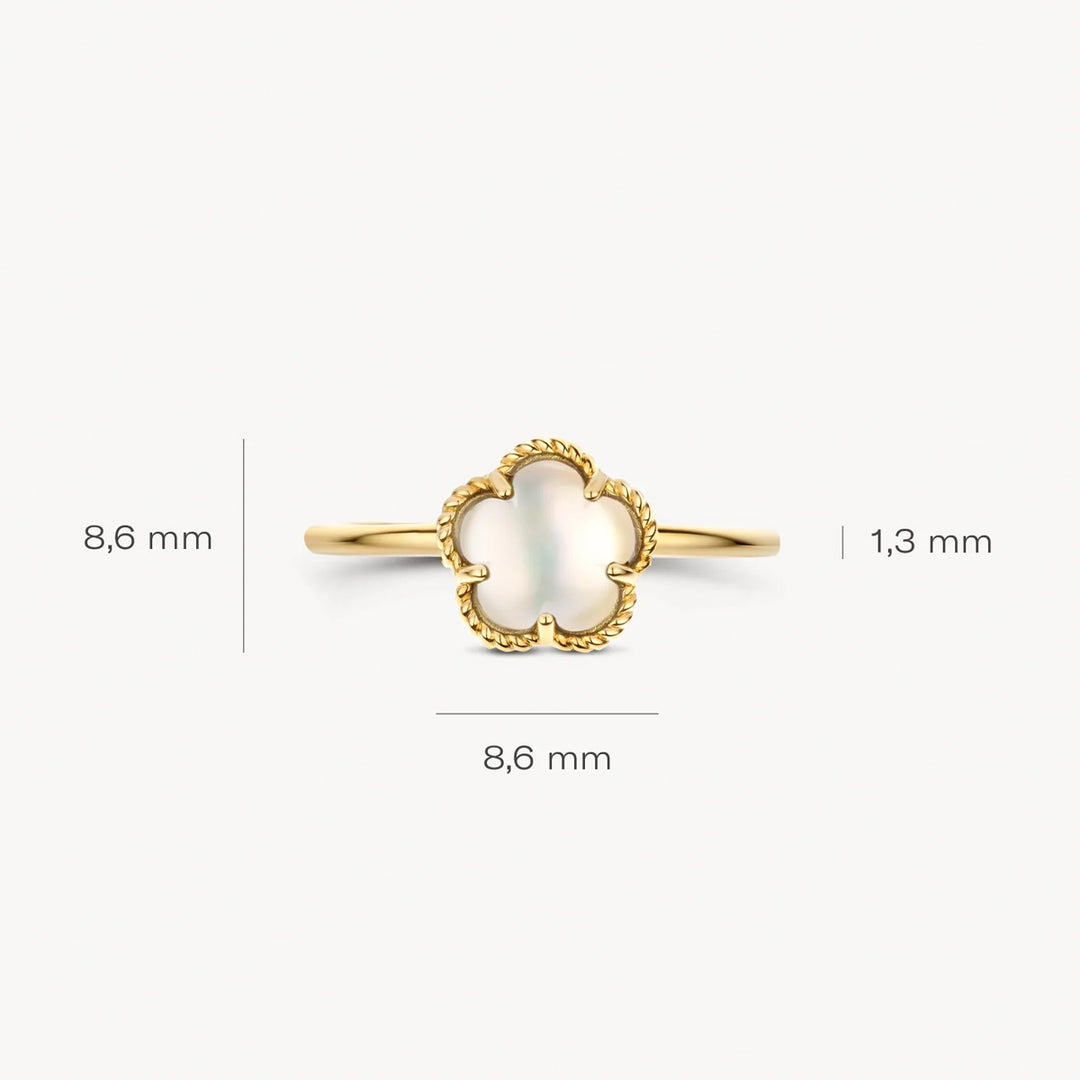 Blush Ring 14k Gelbgold - 1280YMQ