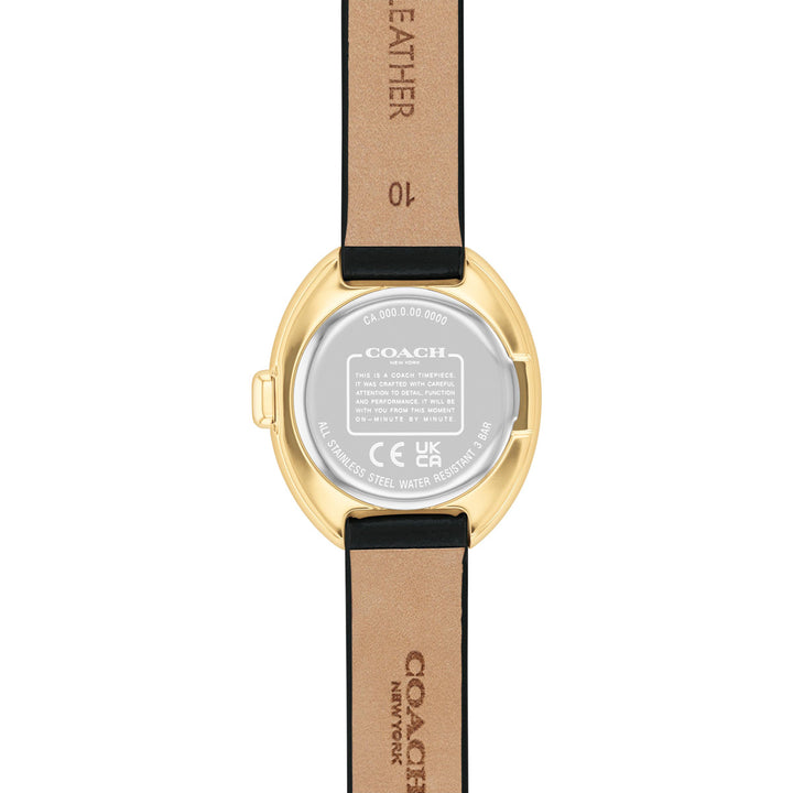 Coach Sammy - 14504421