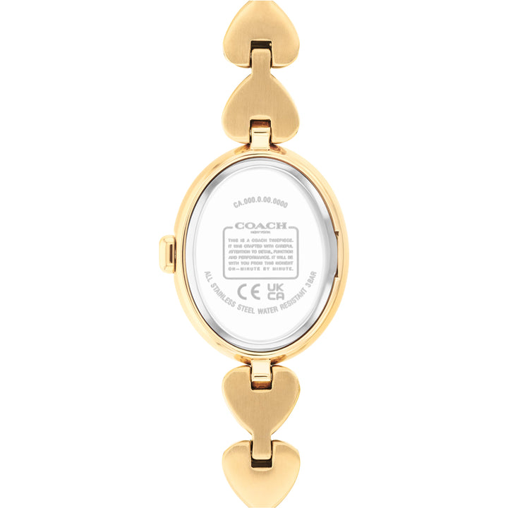 Coach Sammy - 14504638