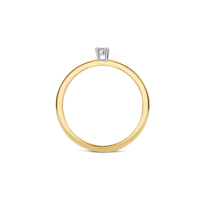 Blush Diamonds Ring 14k Gelbgold und Weissgold - 1602BDI