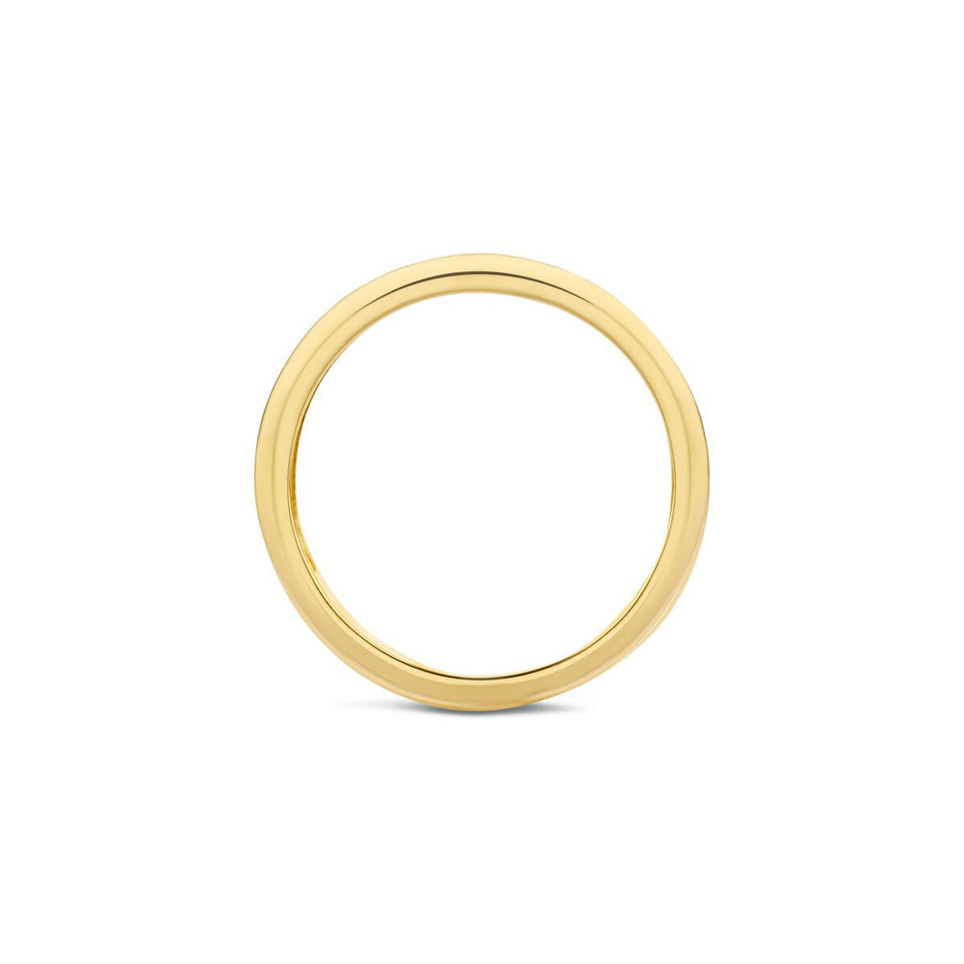 Blush Diamonds Ring 14k Gelbgold und Weissgold - 1607BDI