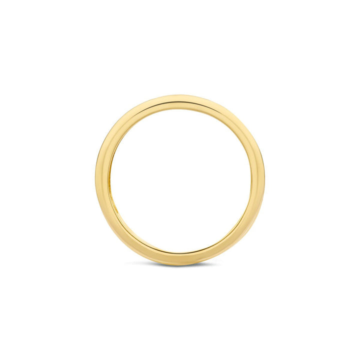 Blush Diamonds Ring 14k Gelbgold und Weissgold - 1607BDI