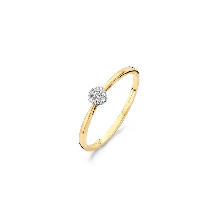 Blush Diamonds Ring 14k Yellow Gold and White Gold - 1609BDI