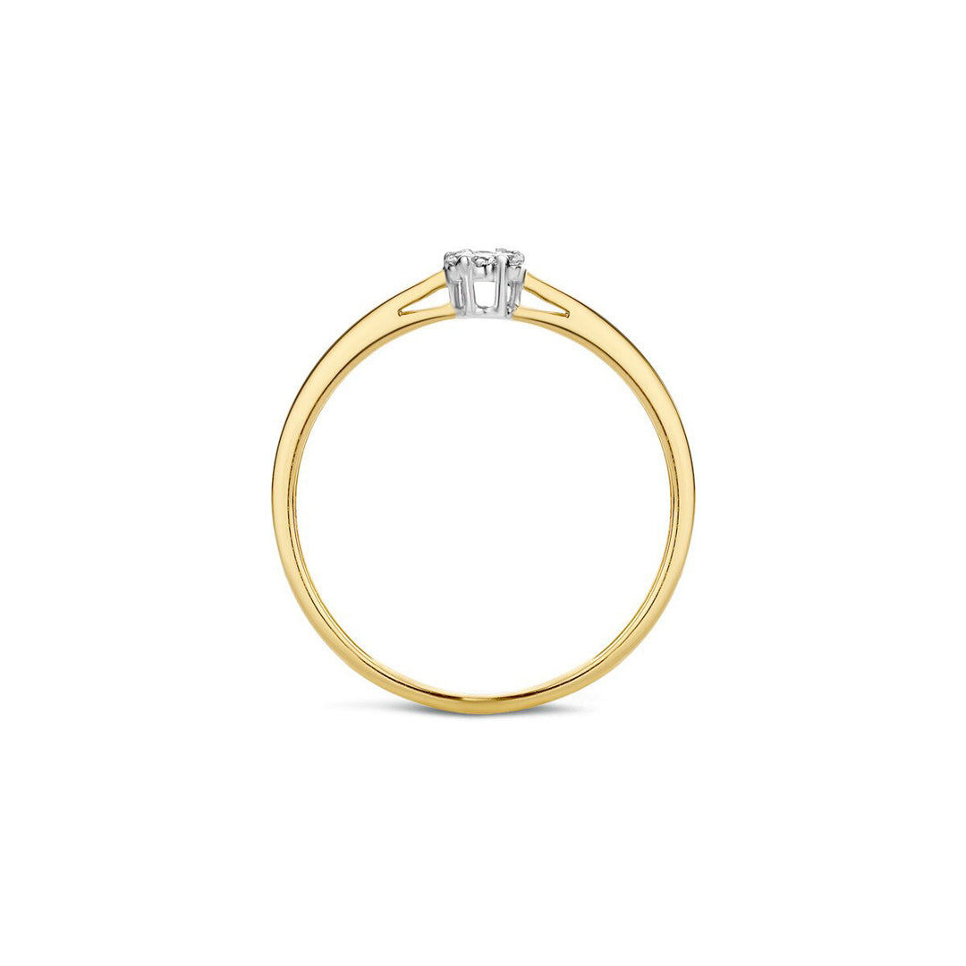 Blush Diamonds Ring 14k Gelbgold und Weissgold - 1609BDI