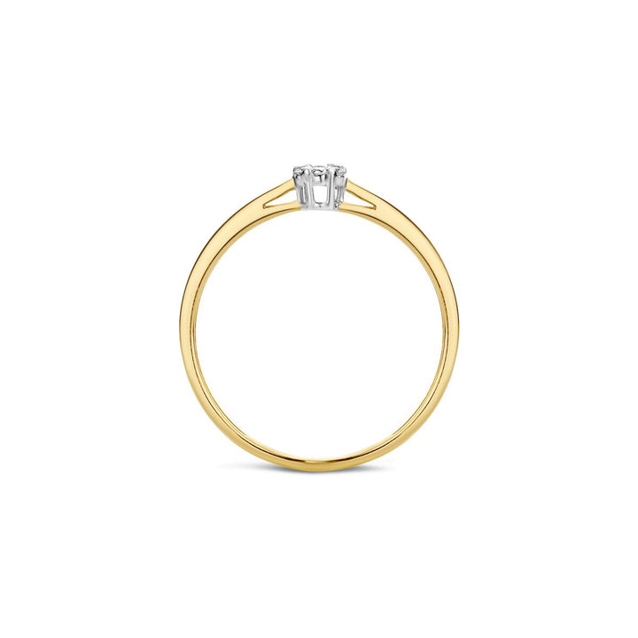 Blush Diamonds Ring 14k Gelbgold und Weissgold - 1609BDI