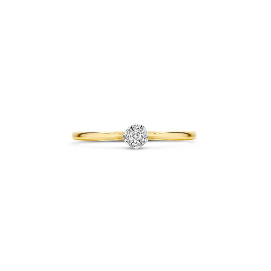 Blush Diamonds Ring 14k Gelbgold und Weissgold - 1609BDI