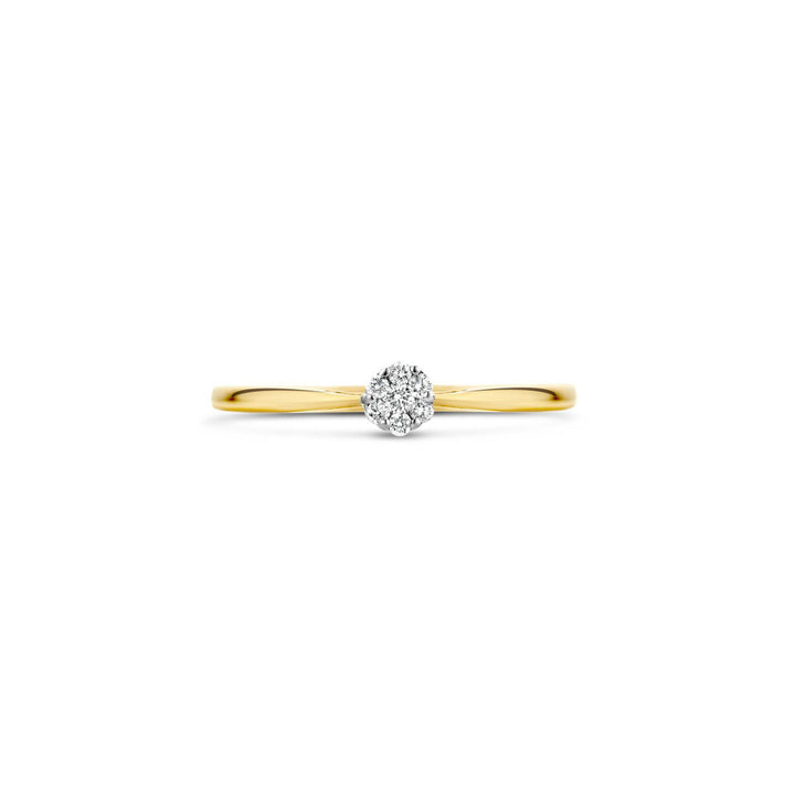 Blush Diamonds Ring 14k Gelbgold und Weissgold - 1609BDI