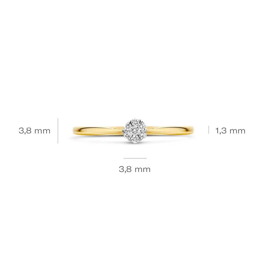Blush Diamonds Ring 14k Gelbgold und Weissgold - 1609BDI