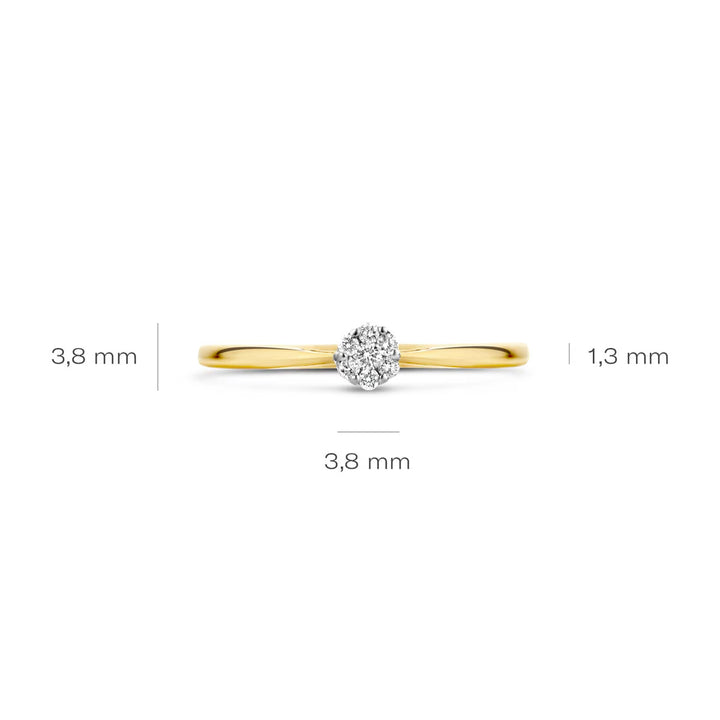 Blush Diamonds Ring 14k Gelbgold und Weissgold - 1609BDI