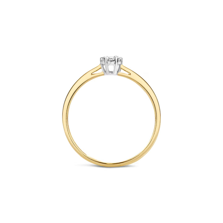 Blush Diamonds Ring 14k Gelbgold und Weissgold - 1610BDI