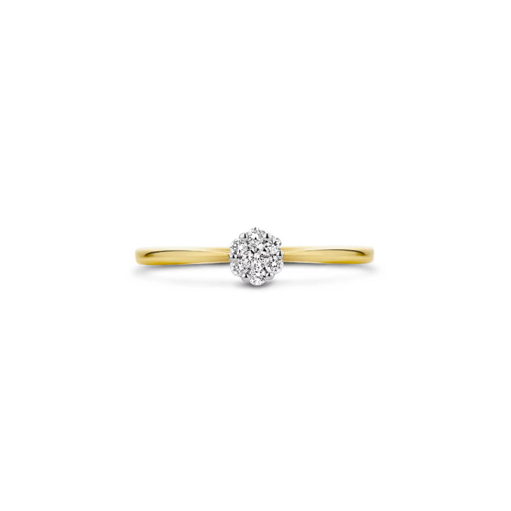 Blush Diamonds Ring 14k Gelbgold und Weissgold - 1610BDI