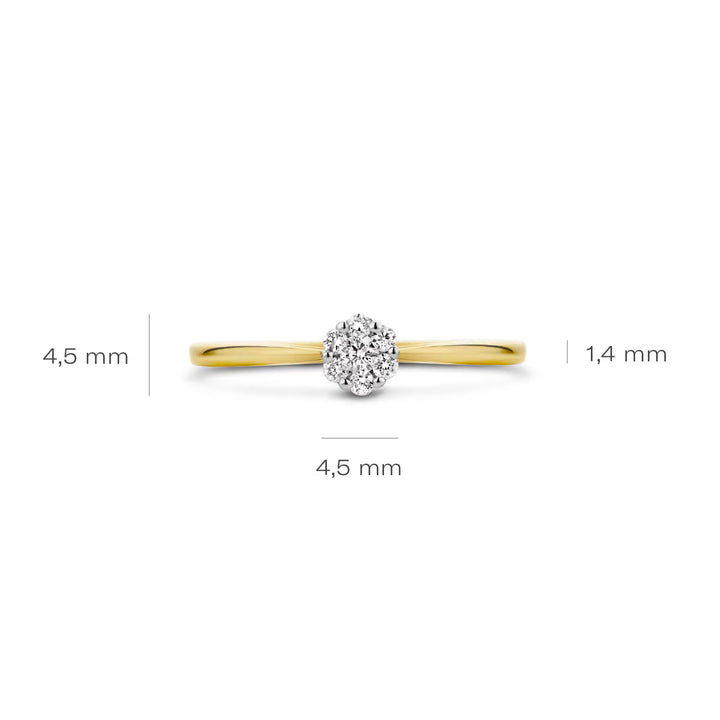 Blush Diamonds Ring 14k Gelbgold und Weissgold - 1610BDI