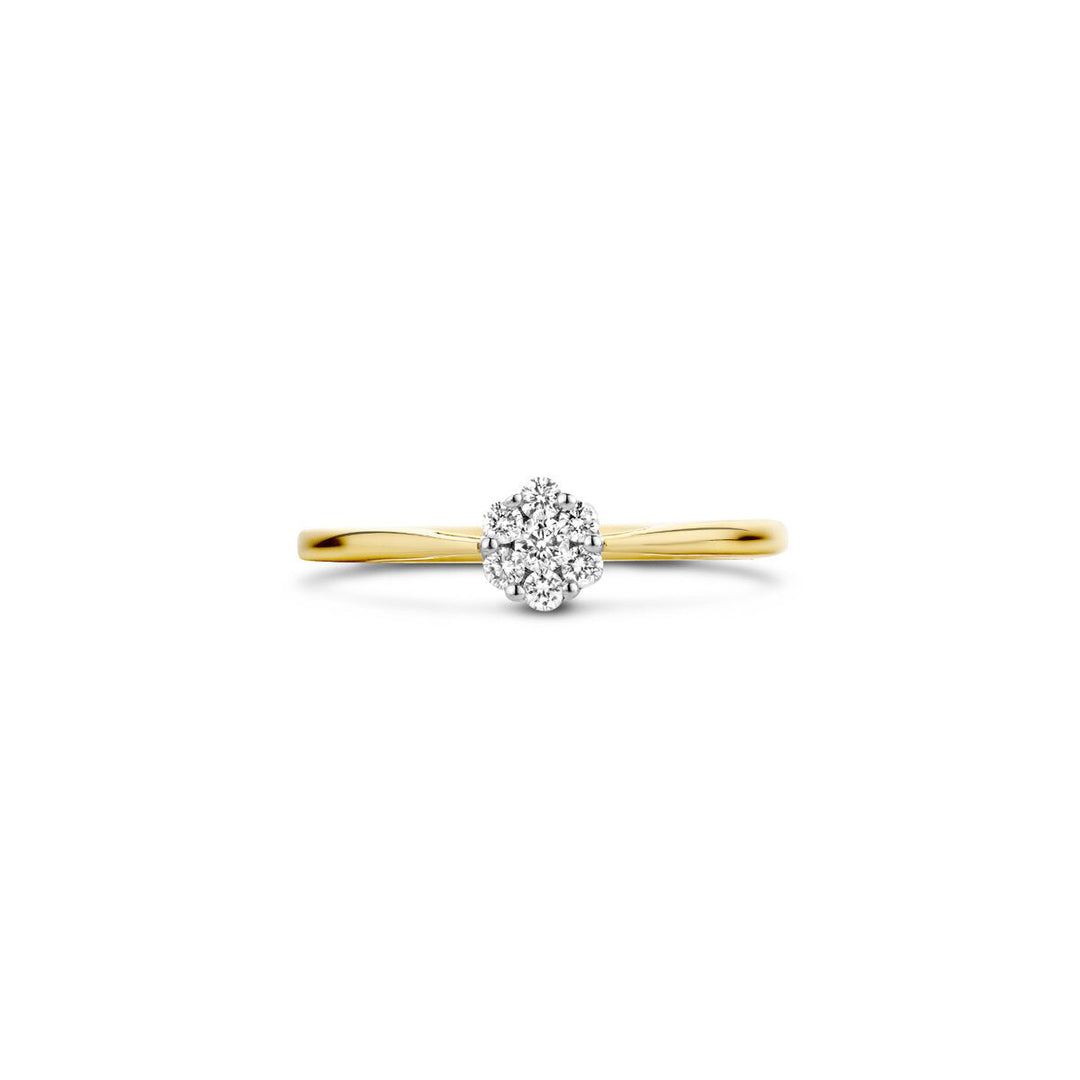 Blush Diamonds Ring 14k Gelbgold und Weissgold - 1611BDI